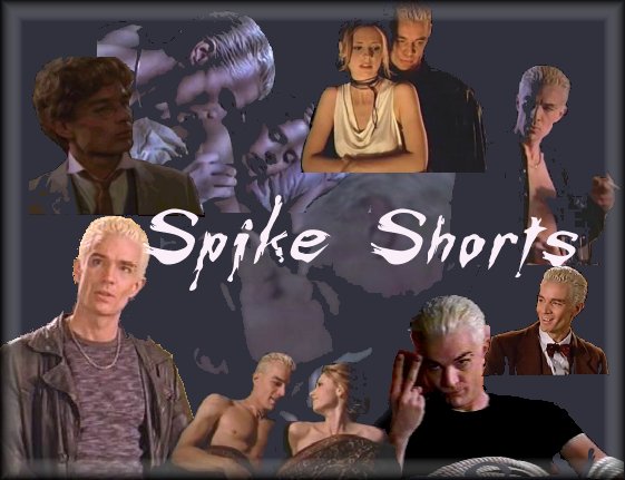 Spikeshorts.jpg (49487 bytes)